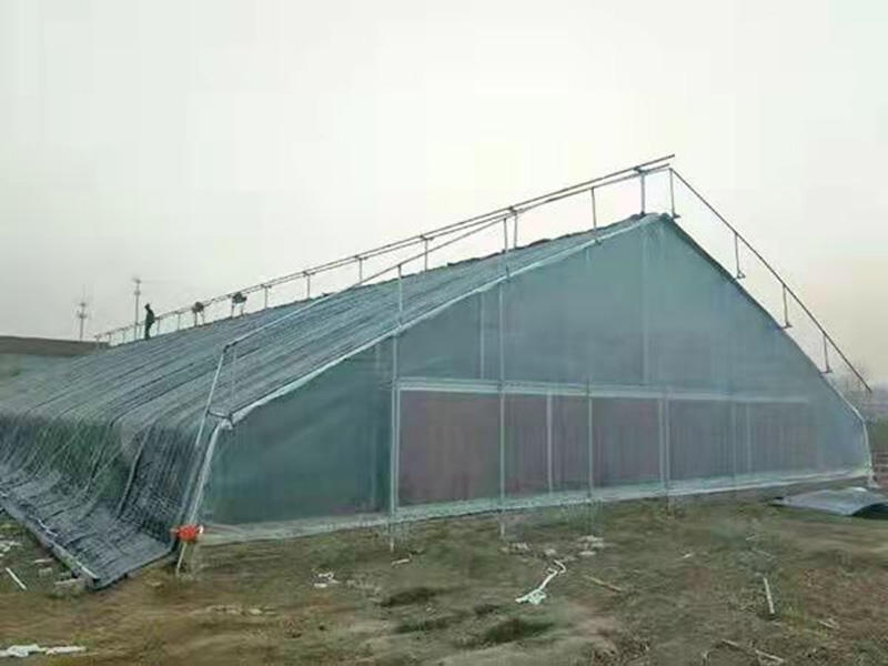 日光温室