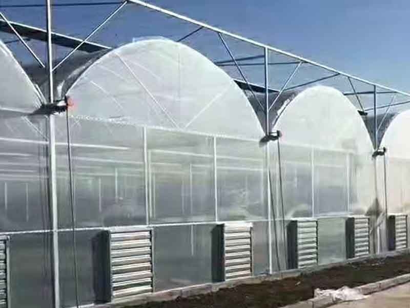 连栋薄膜温室