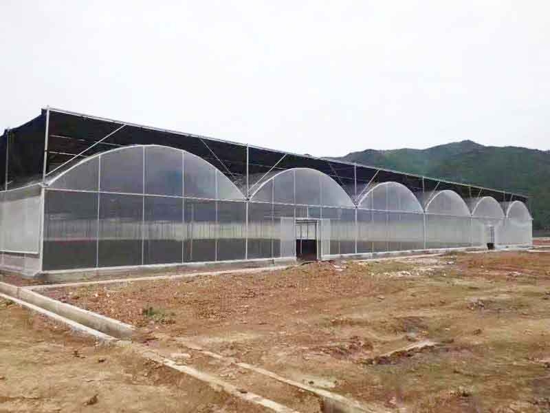 连栋薄膜温室