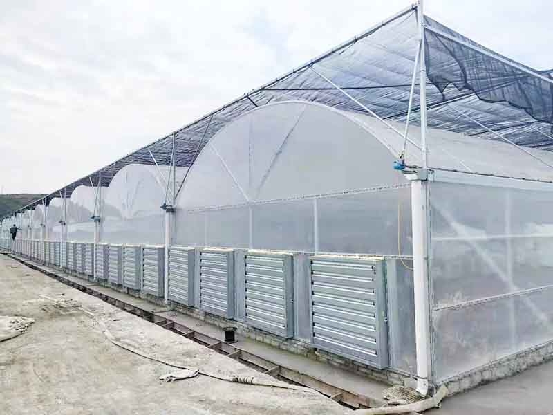 连栋薄膜温室