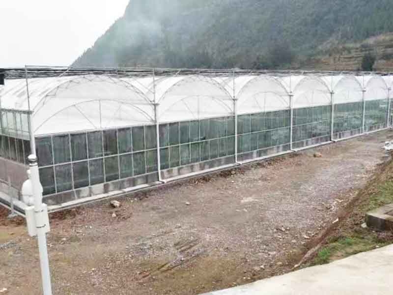 连栋薄膜温室