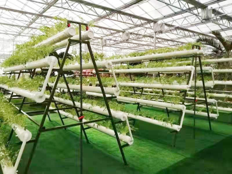案例展示