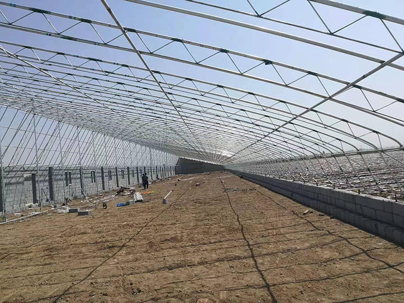 案例展示