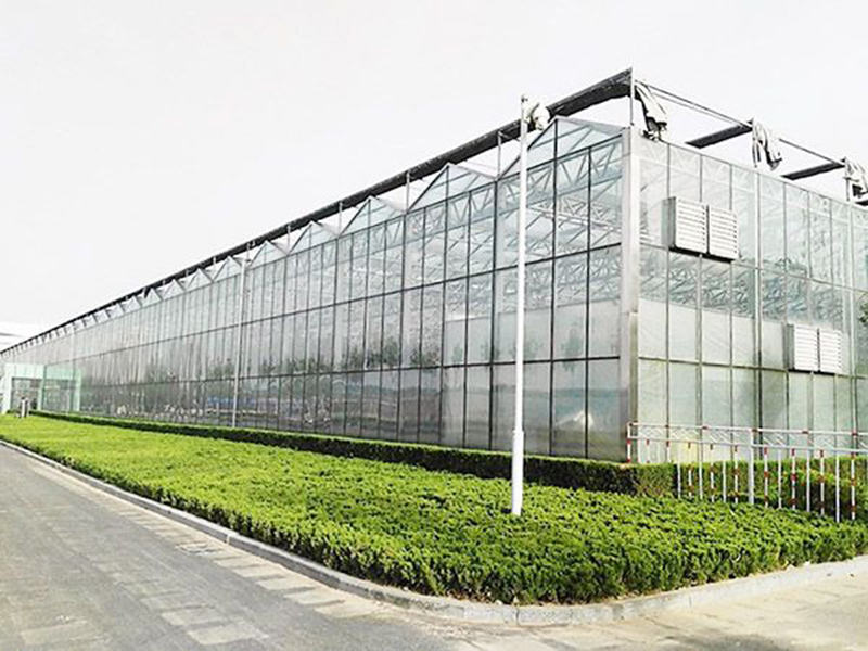 案例展示