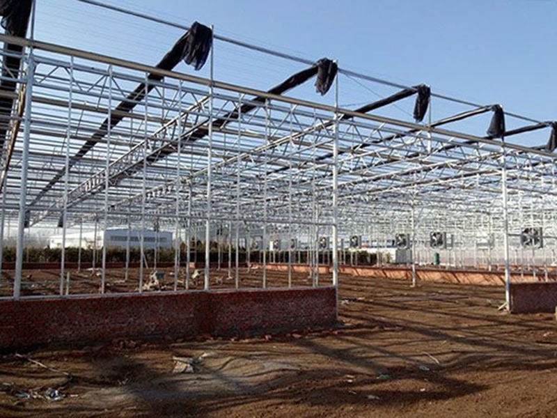 建设温室工程-选专业厂家-温室大棚一站式建造厂家