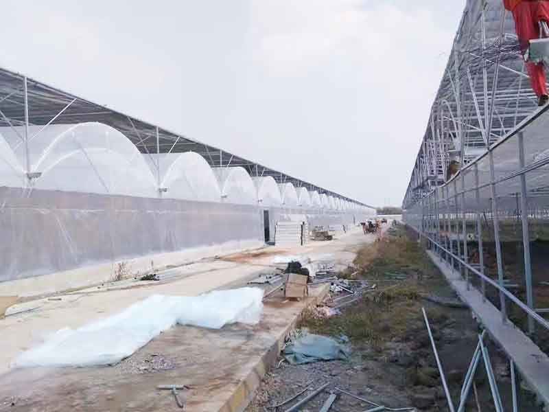 潍坊 承接各种规格温室建设工程,设计,安装,售后一条龙服务